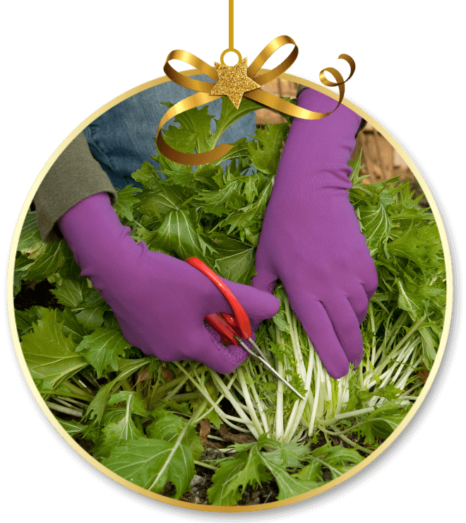 Foxgloves Elle Grip Garden Gloves