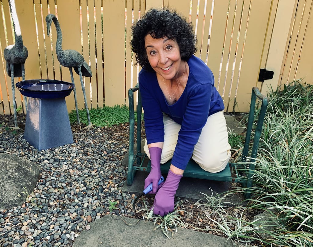 Toni Gattone weeds with her mini Cobrahead as part of her Gardening Gives Me Hope blog post