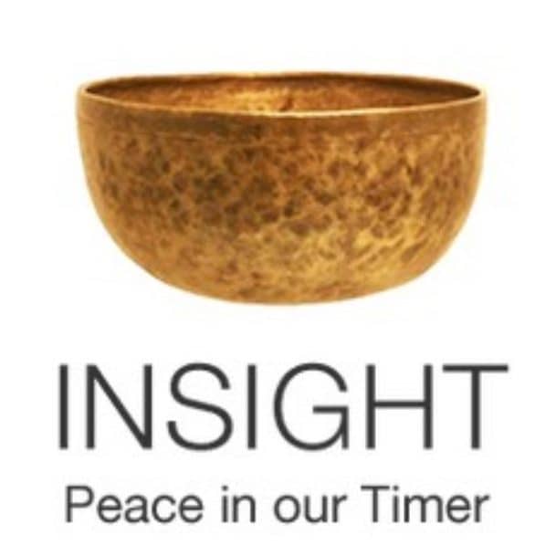 Insight Peace in Our Time logo