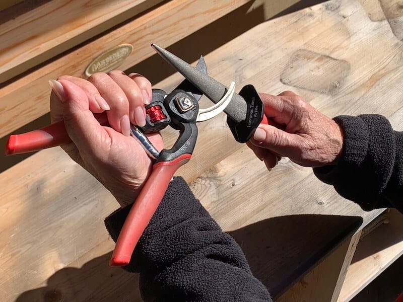 Toni Gattone's highly recommended Ironwood Tool Sharpener