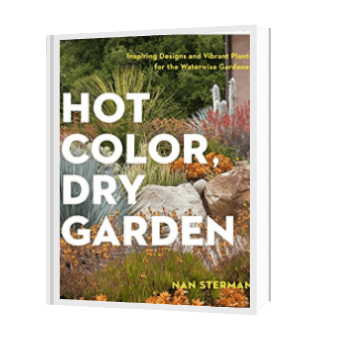 Bookcover for Hot Color, Dry Garden By Nan Sterman