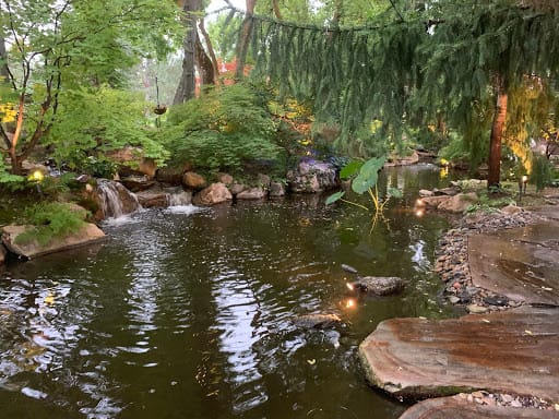 Japanese Maples transformed a two acre parcel into a virtual oasis filled with multiple Koi ponds and gorgeous stone walkways.