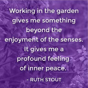Working in the garden gives me something beyond the enjoyment of the senses. It gives me a profound feeling of inner peace.

- Ruth Stout