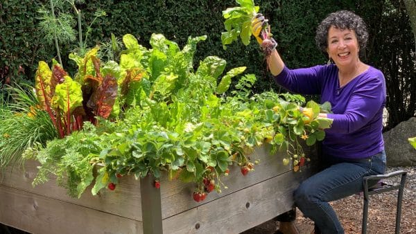 Resilient Gardener Toni Gattone Growing Your Own Food With My Online Series