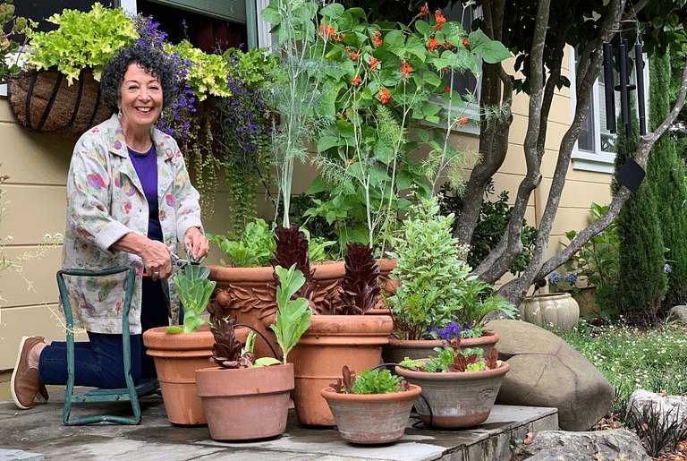 Toni Gattone with succulents
